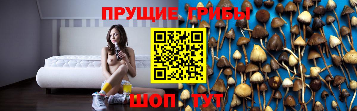 Псилоцибиновые грибы Cubensis  Вход с VPN  Кострома  Псилоцибиновые грибы Psilocybe 