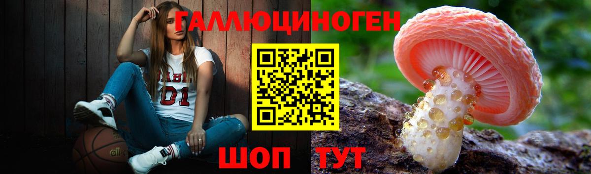 Галлюциногенные грибы Psilocybe Кострома